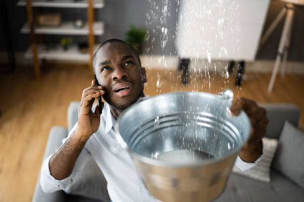 Best Flood damage cleanup  in Blaine, TN