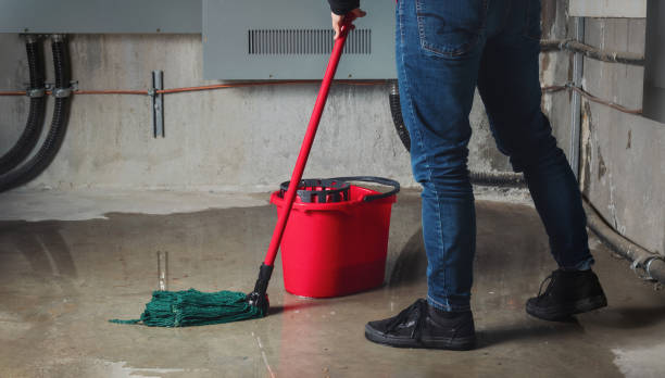  Blaine, TN Water damage restoration Pros