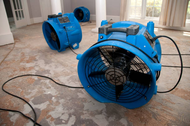 Fire Damage Restoration in Blaine, TN