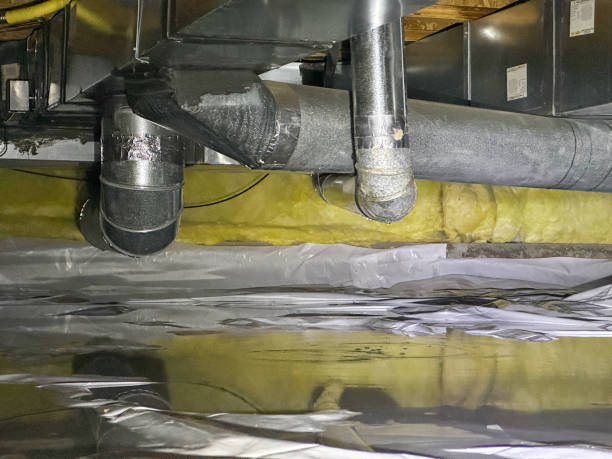 Best Commercial water damage restoration  in Blaine, TN