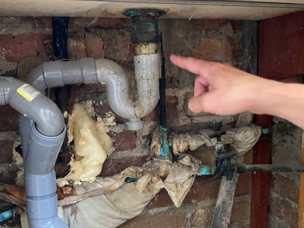 Best Mold removal after water damage  in Blaine, TN
