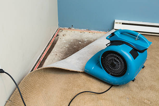 Best Residential water damage restoration  in Blaine, TN